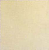 TS-3 SAND DOLLAR