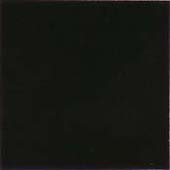 TS-8 BLACK SAND